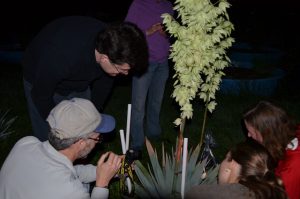 Students an professor around a large cream colored flowering plant at night