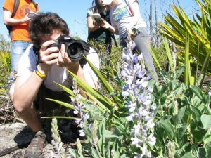 Student photographing a flowering plant.