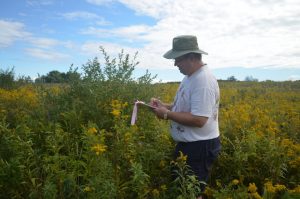Rresearcher recording his finding doing field work
