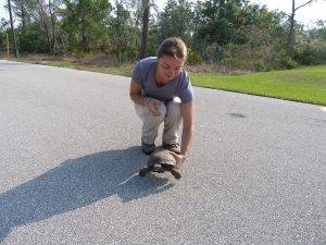 Woman picking up a tortoise in the road.