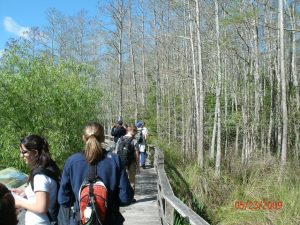 Students on the boardwalk in the swamp.