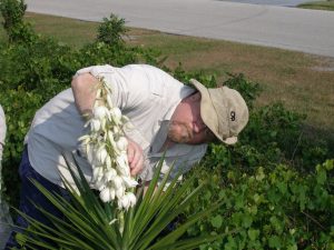 Student inspecting a Yucca plant.