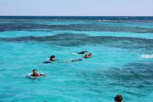 Students swimming out to the reef.
